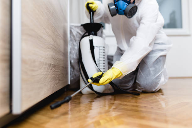 Wasp Removal Services in Seven Hills, OH