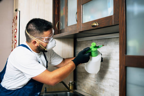Best Local Pest Control Services  in Seven Hills, OH