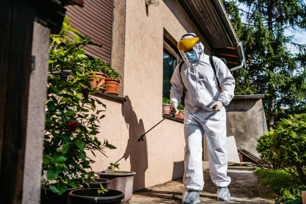 Best Wasp Removal Services  in Seven Hills, OH