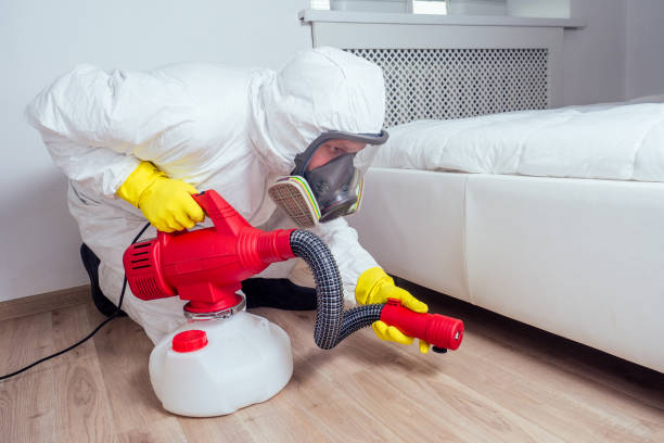 Best Affordable Pest Control Services  in Seven Hills, OH