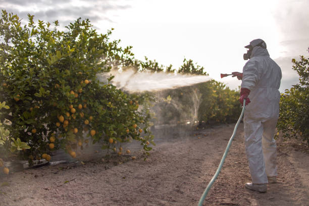 Best Emergency Pest Control  in Seven Hills, OH