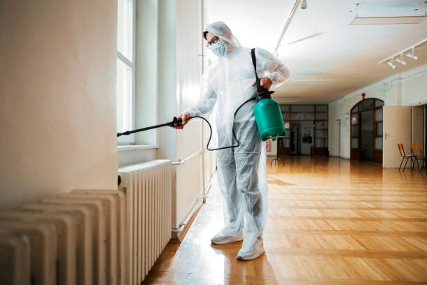 Flea Control Services in Seven Hills, OH