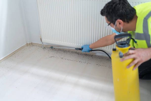 Best Termite Control Services  in Seven Hills, OH