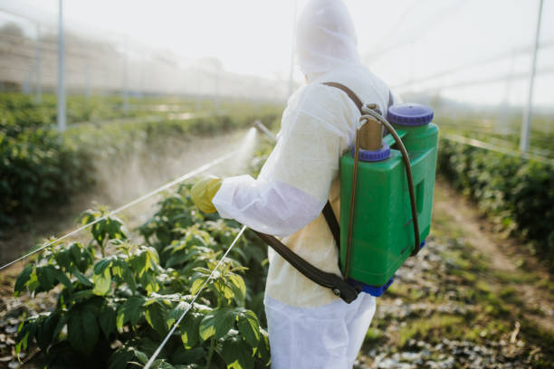 Best Mosquito Control Services  in Seven Hills, OH